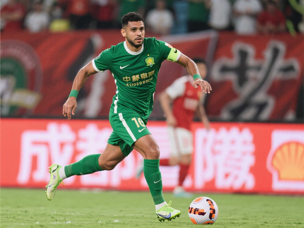 调整和适应 调整和适应